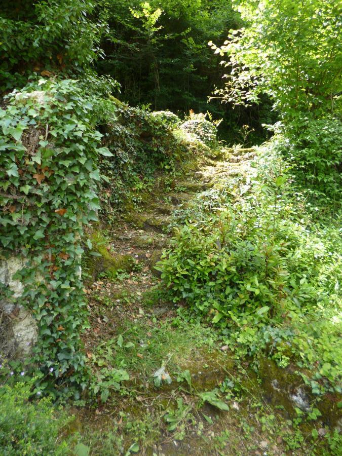 Le Moulin De Cors Bed & Breakfast Oulches Luaran gambar
